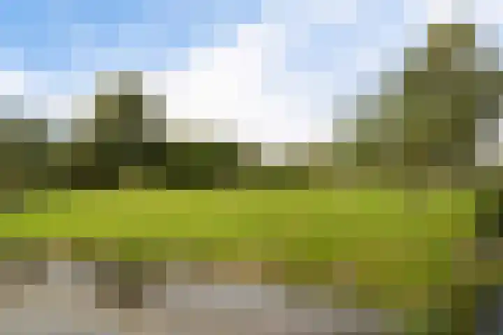 Charentestroom 11 Zoetermeer thumbnail 57