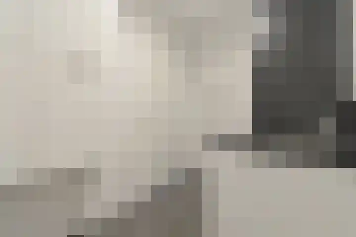 Charentestroom 125 Zoetermeer thumbnail 12