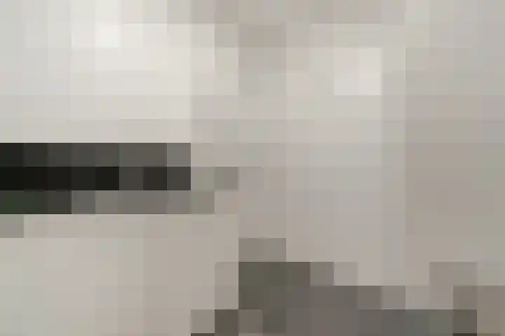 Charentestroom 125 Zoetermeer thumbnail 13