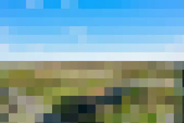 Charentestroom 125 Zoetermeer thumbnail 27