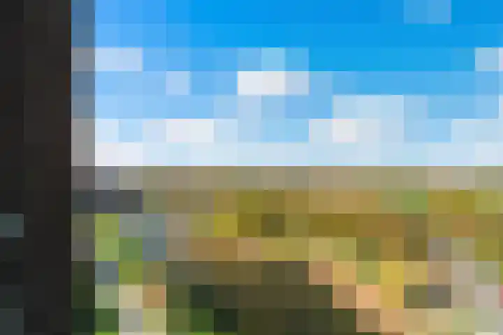 Charentestroom 125 Zoetermeer thumbnail 30