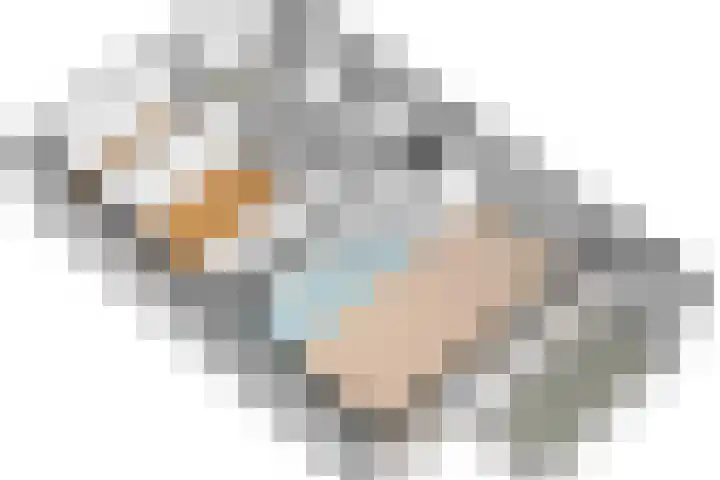 Charentestroom 125 Zoetermeer thumbnail 45