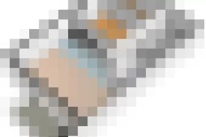 Charentestroom 125 Zoetermeer thumbnail 46