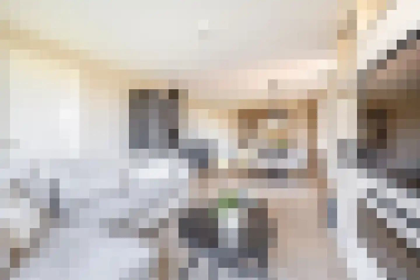 Charentestroom 13 Zoetermeer thumbnail 15
