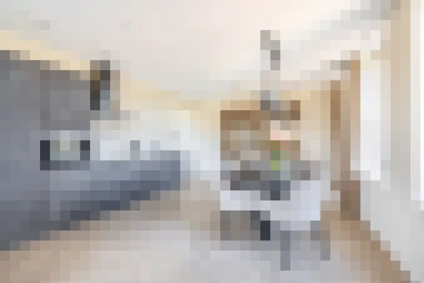 Charentestroom 13 Zoetermeer thumbnail 17