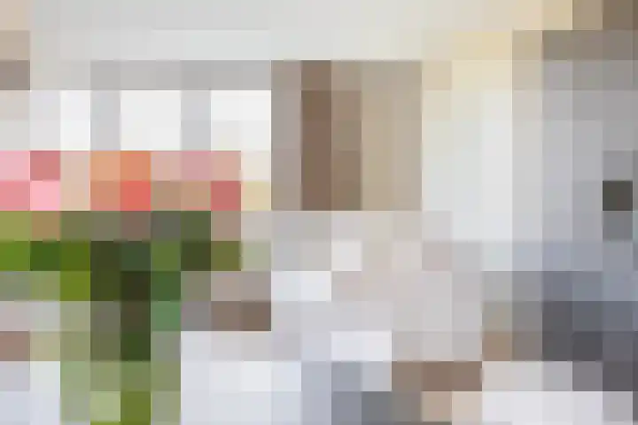 Charentestroom 13 Zoetermeer thumbnail 20