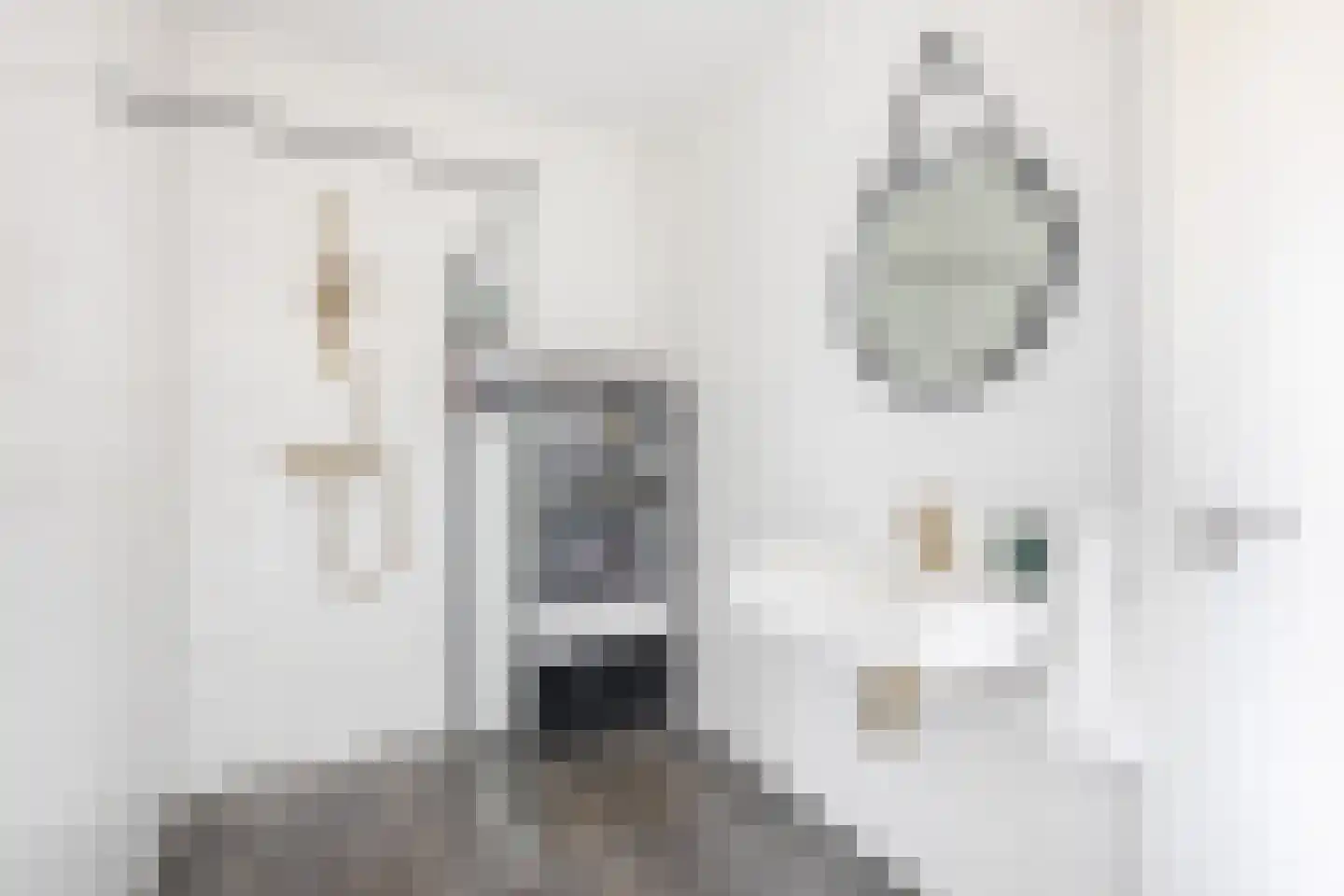 Charentestroom 13 Zoetermeer thumbnail 23