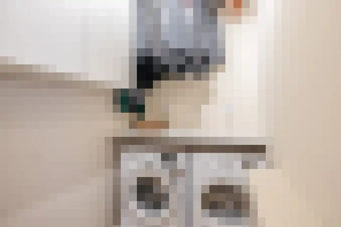 Charentestroom 13 Zoetermeer thumbnail 30
