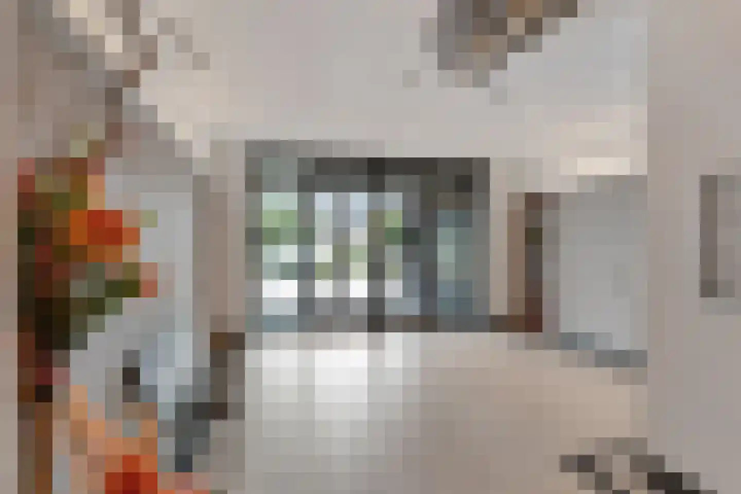 Charentestroom 25 Zoetermeer thumbnail 11