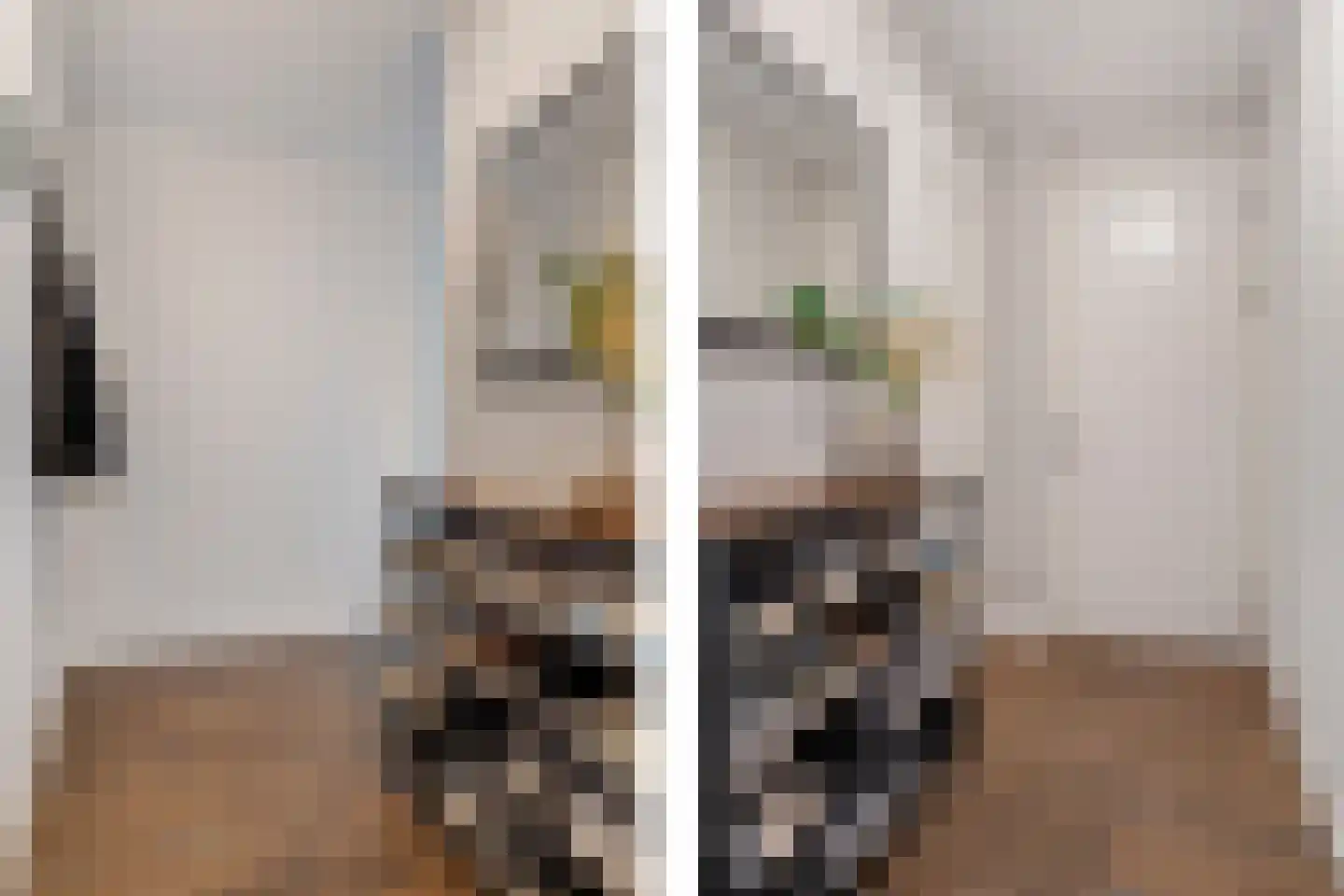 Charentestroom 25 Zoetermeer thumbnail 14