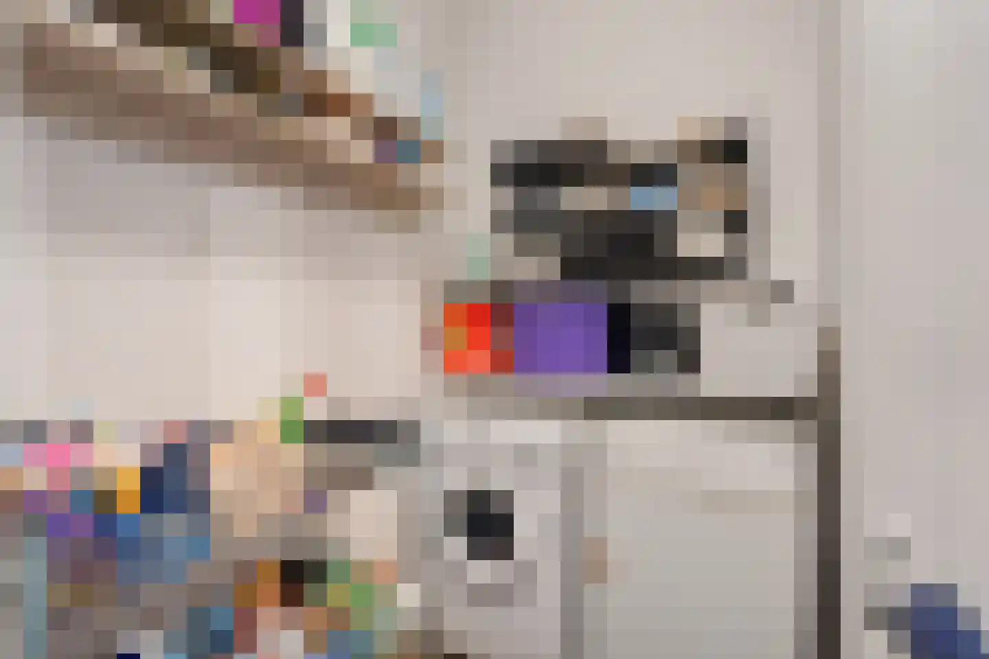 Charentestroom 25 Zoetermeer thumbnail 46
