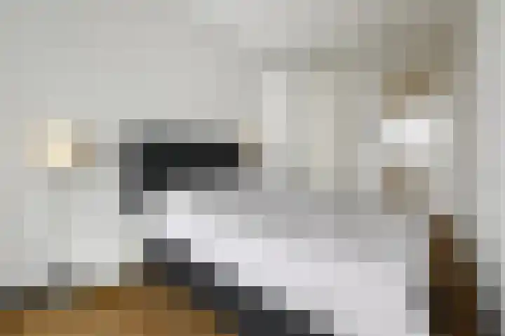 Charentestroom 35 Zoetermeer thumbnail 15
