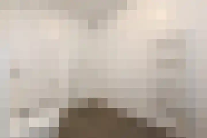 Charentestroom 35 Zoetermeer thumbnail 17