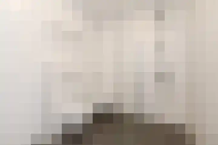 Charentestroom 35 Zoetermeer thumbnail 18