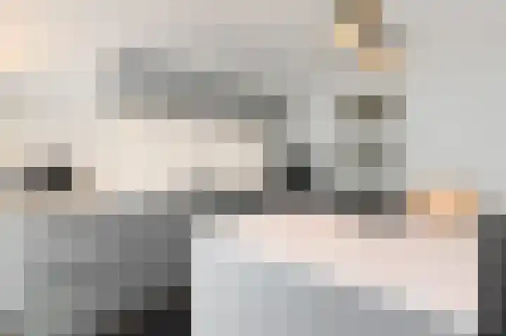 Charentestroom 35 Zoetermeer thumbnail 21