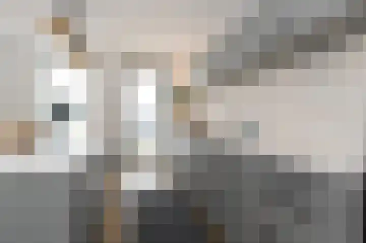 Charentestroom 35 Zoetermeer thumbnail 25