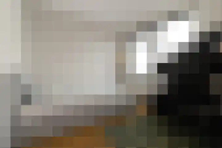 Charentestroom 35 Zoetermeer thumbnail 35