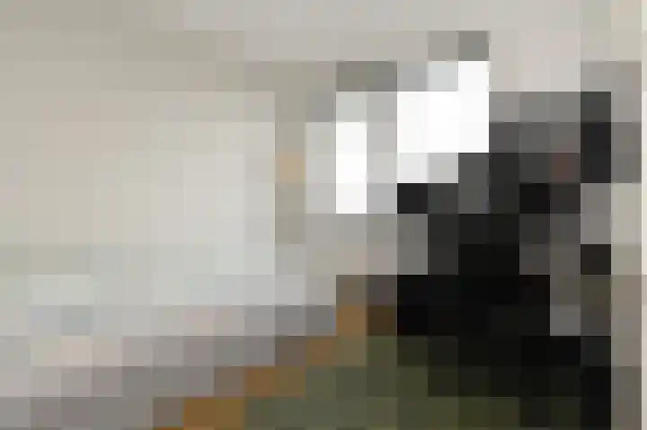 Charentestroom 35 Zoetermeer thumbnail 36