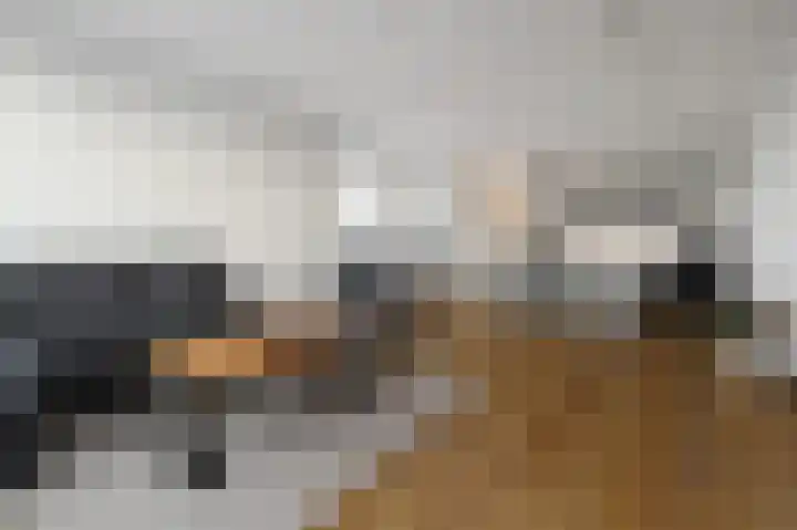 Charentestroom 35 Zoetermeer thumbnail 37