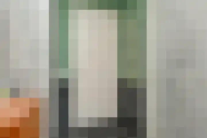 Charentestroom 51 Zoetermeer thumbnail 11