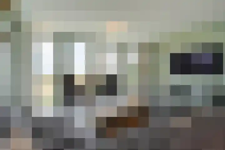 Charentestroom 51 Zoetermeer thumbnail 16