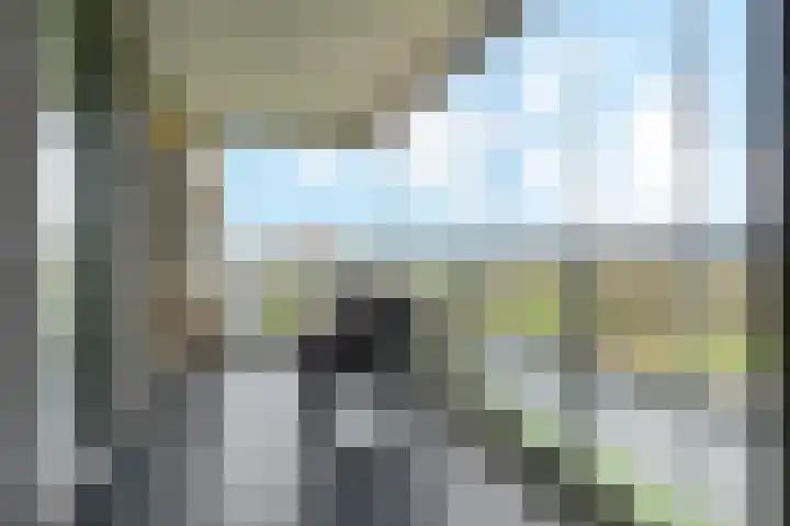 Charentestroom 51 Zoetermeer thumbnail 19