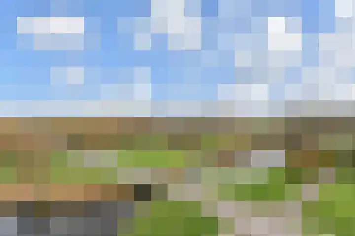 Charentestroom 51 Zoetermeer thumbnail 20