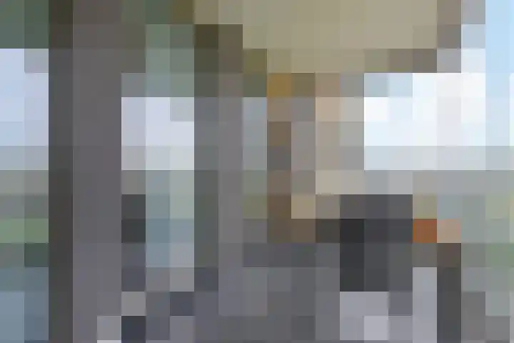 Charentestroom 51 Zoetermeer thumbnail 21
