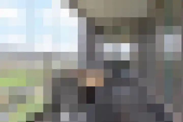 Charentestroom 51 Zoetermeer thumbnail 22
