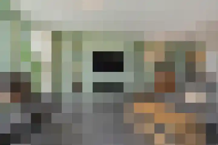 Charentestroom 51 Zoetermeer thumbnail 23