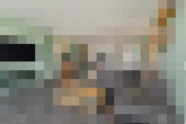 Charentestroom 51 Zoetermeer thumbnail 24