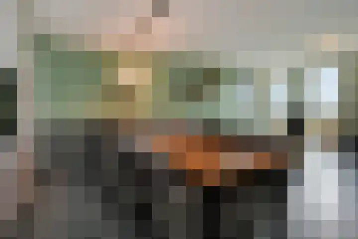 Charentestroom 51 Zoetermeer thumbnail 26
