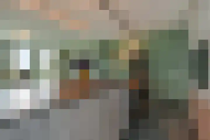 Charentestroom 51 Zoetermeer thumbnail 28