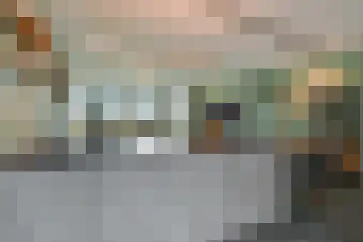 Charentestroom 51 Zoetermeer thumbnail 29