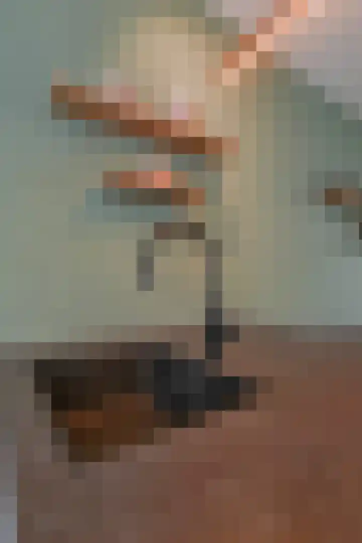 Charentestroom 51 Zoetermeer thumbnail 30