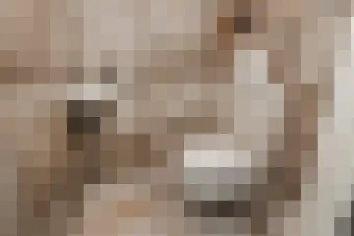 Charentestroom 51 Zoetermeer thumbnail 36