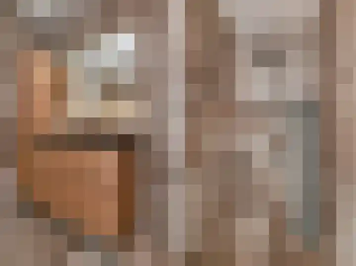Charentestroom 51 Zoetermeer thumbnail 40