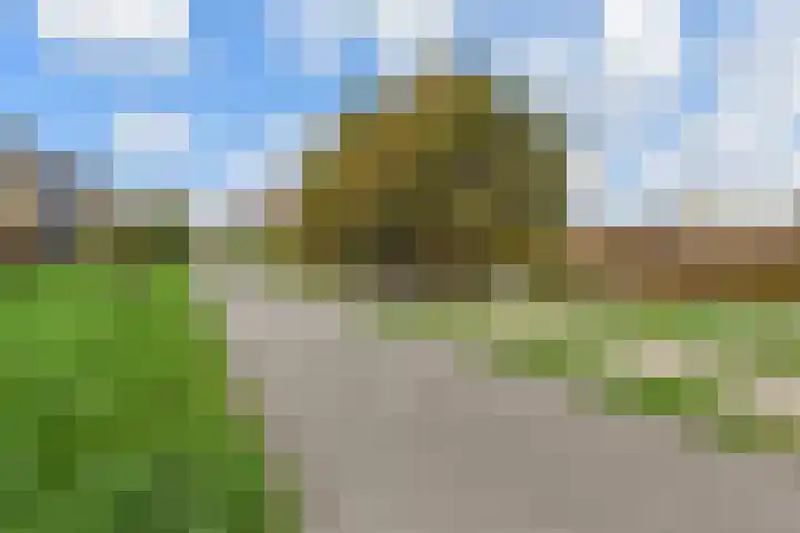 Charentestroom 51 Zoetermeer thumbnail 59