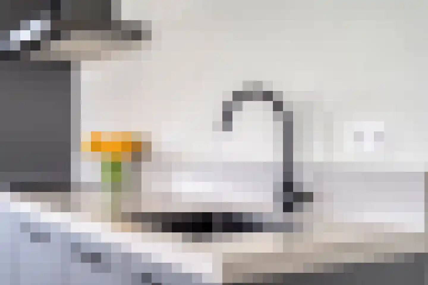 Charentestroom 73 Zoetermeer thumbnail 35