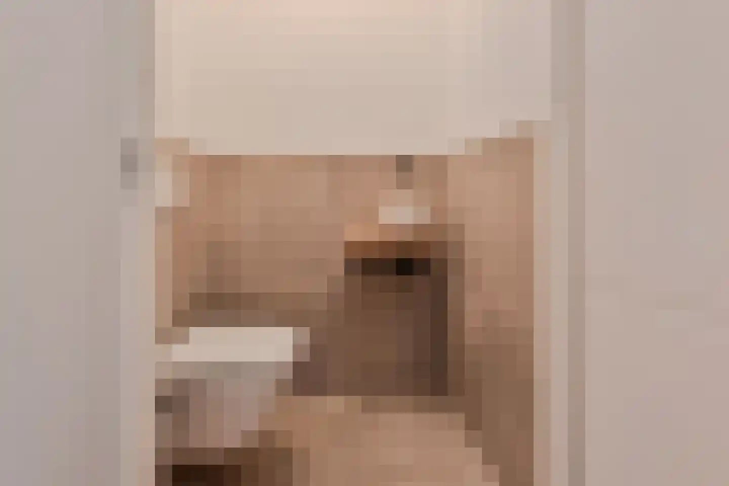 Charentestroom 73 Zoetermeer thumbnail 44