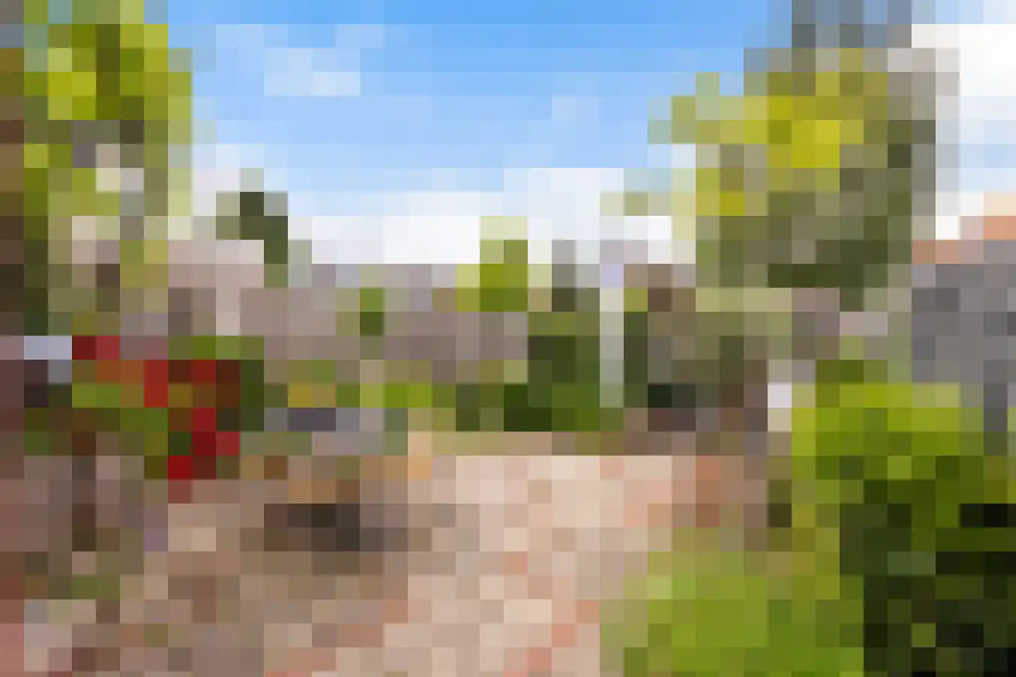 Charitasstraat 2 Roosendaal thumbnail 34