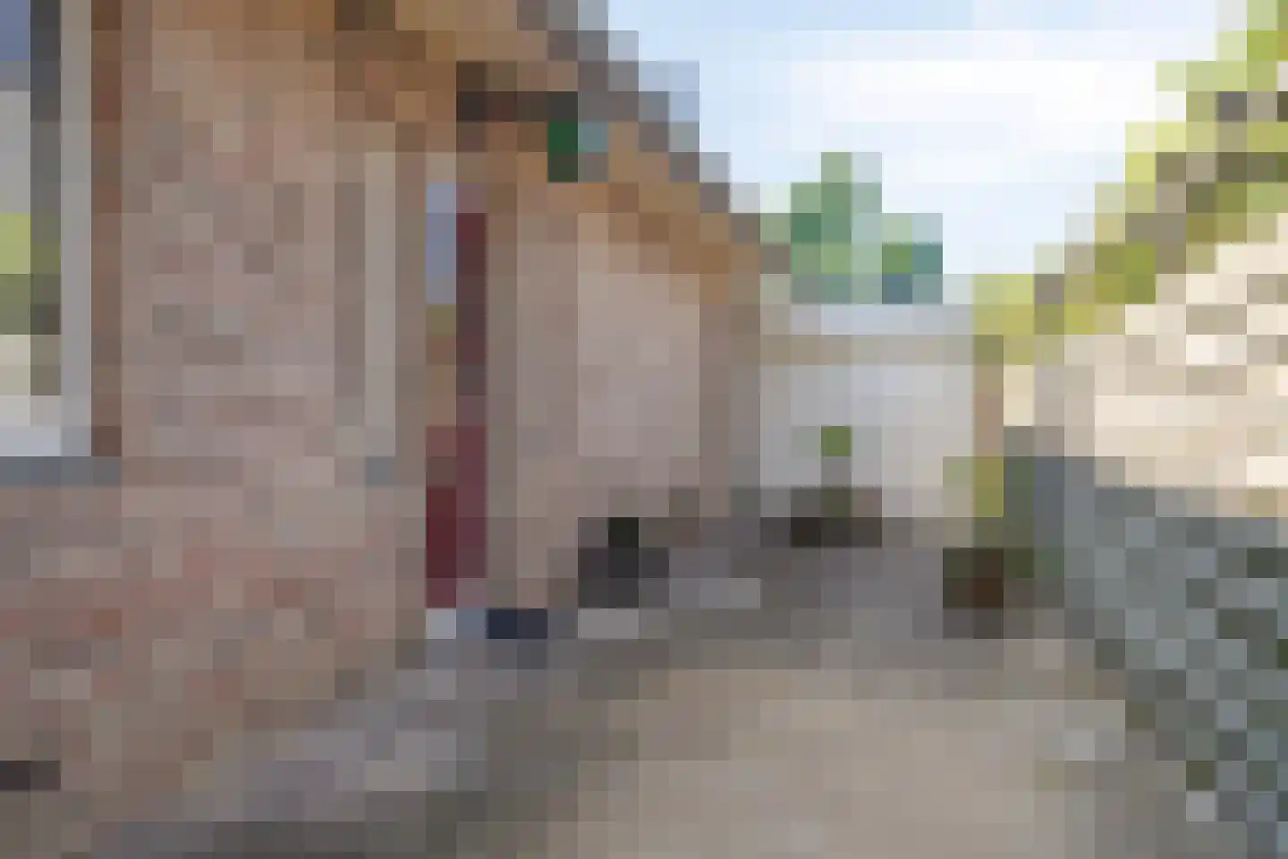 Charles Boyerstraat 12 Almere thumbnail 5