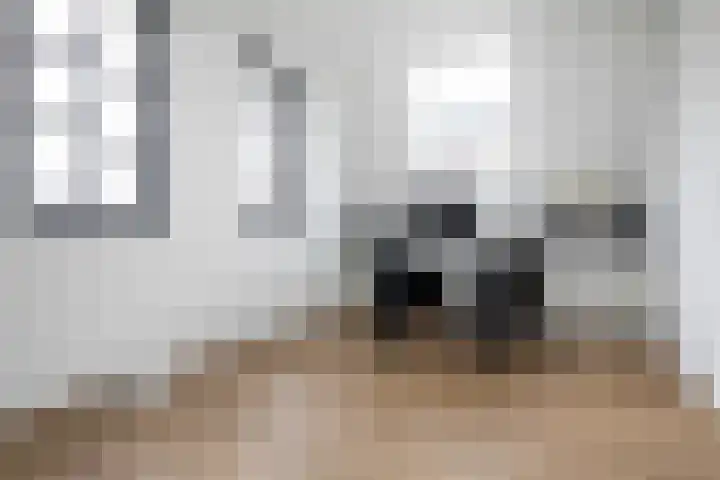 Charles Brandonlaan 44 Hoofddorp thumbnail 28
