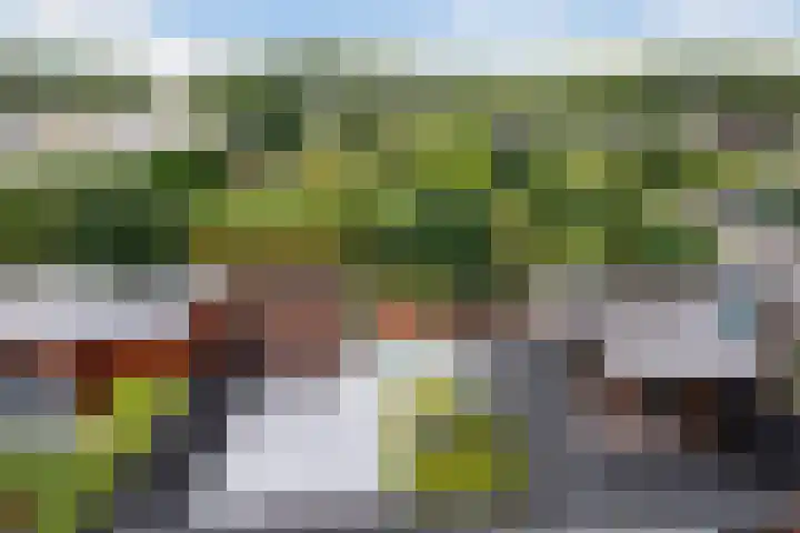 Charles Brandonlaan 44 Hoofddorp thumbnail 30