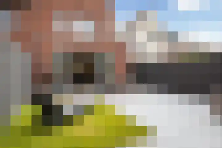 Charles Brandonlaan 44 Hoofddorp thumbnail 5