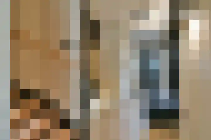 Charles Brandonlaan 45 Hoofddorp thumbnail 4