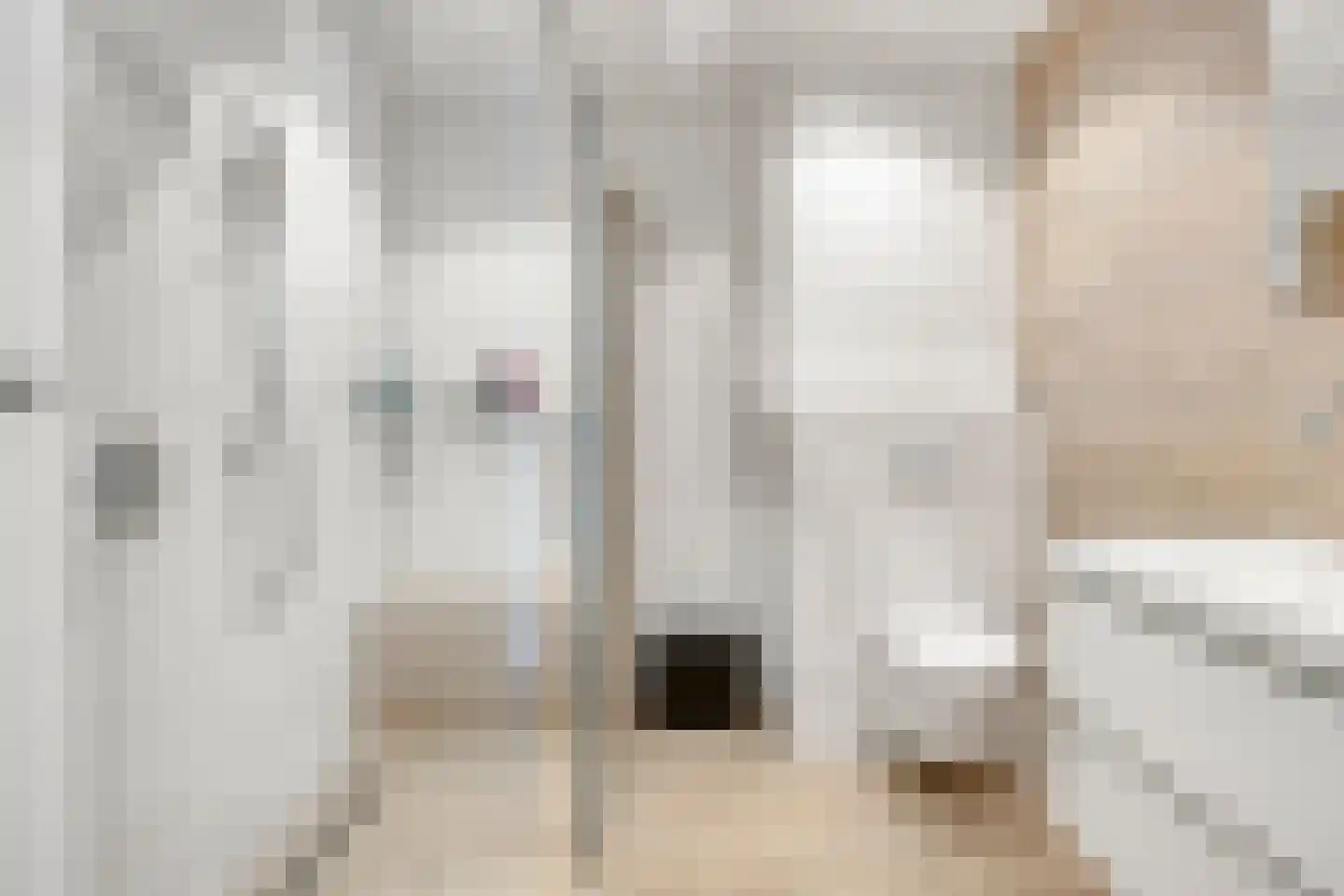 Charles Brandonlaan 64 Hoofddorp thumbnail 18