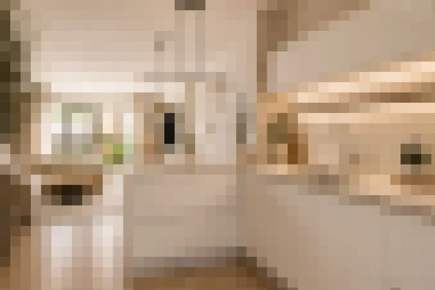 Charles Brandonlaan 64 Hoofddorp thumbnail 4