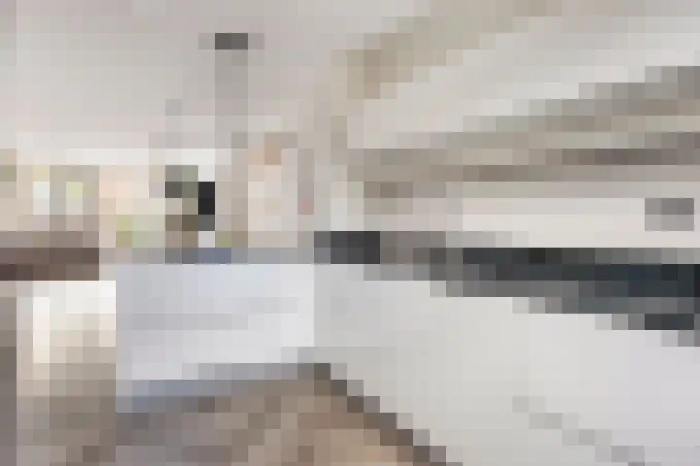 Charles Brandonlaan 64 Hoofddorp thumbnail 7