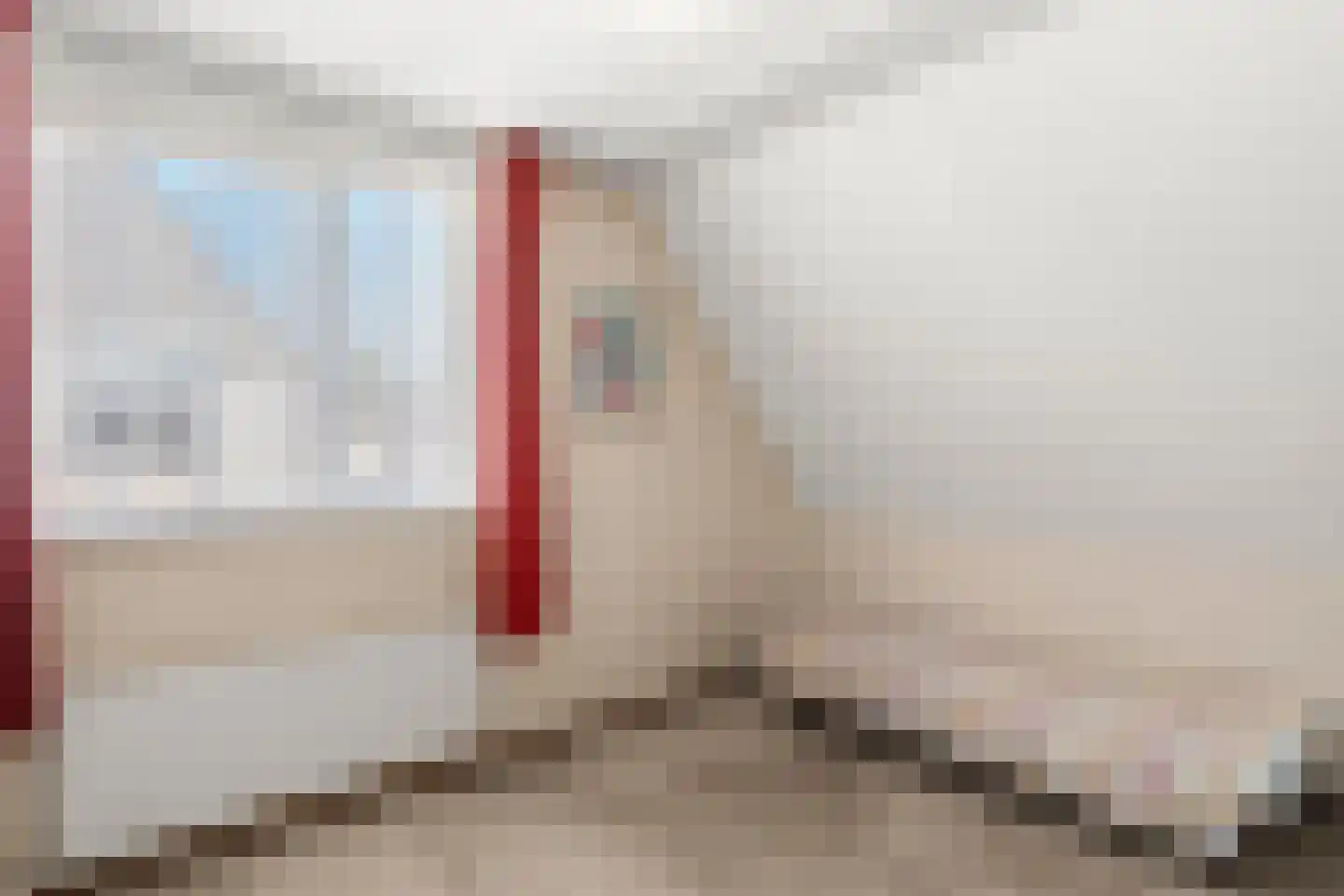Charles Crammweg 3 Renkum thumbnail 41